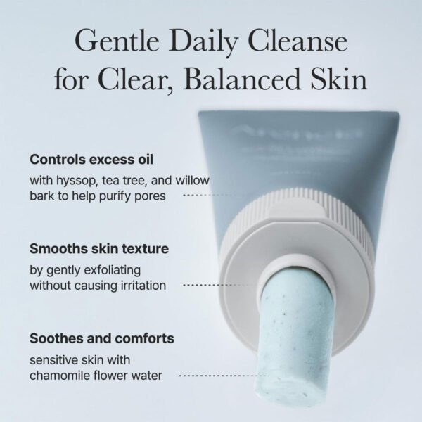 Hyssop Sebum Control Rice Cake Cleanser (150g)