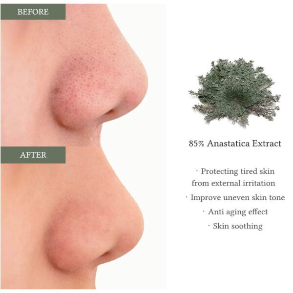 Anastatica Skin Conditioning Pad