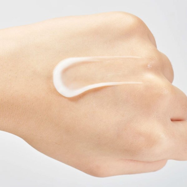 Birch Juice Hydro Cream