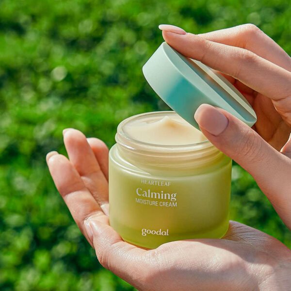 Houttuynia Cordata Calming Moisture Cream